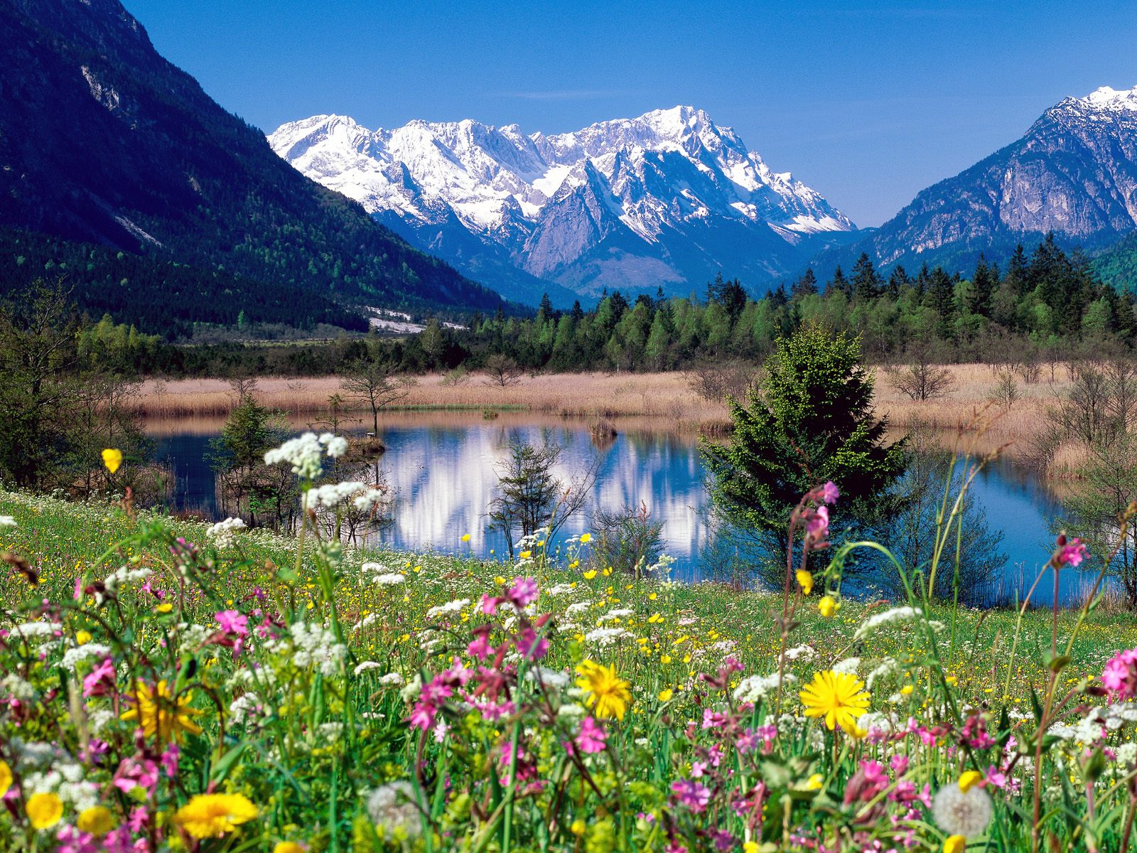 Loisach River Wetterstein Mountains Eschenlohe Germany