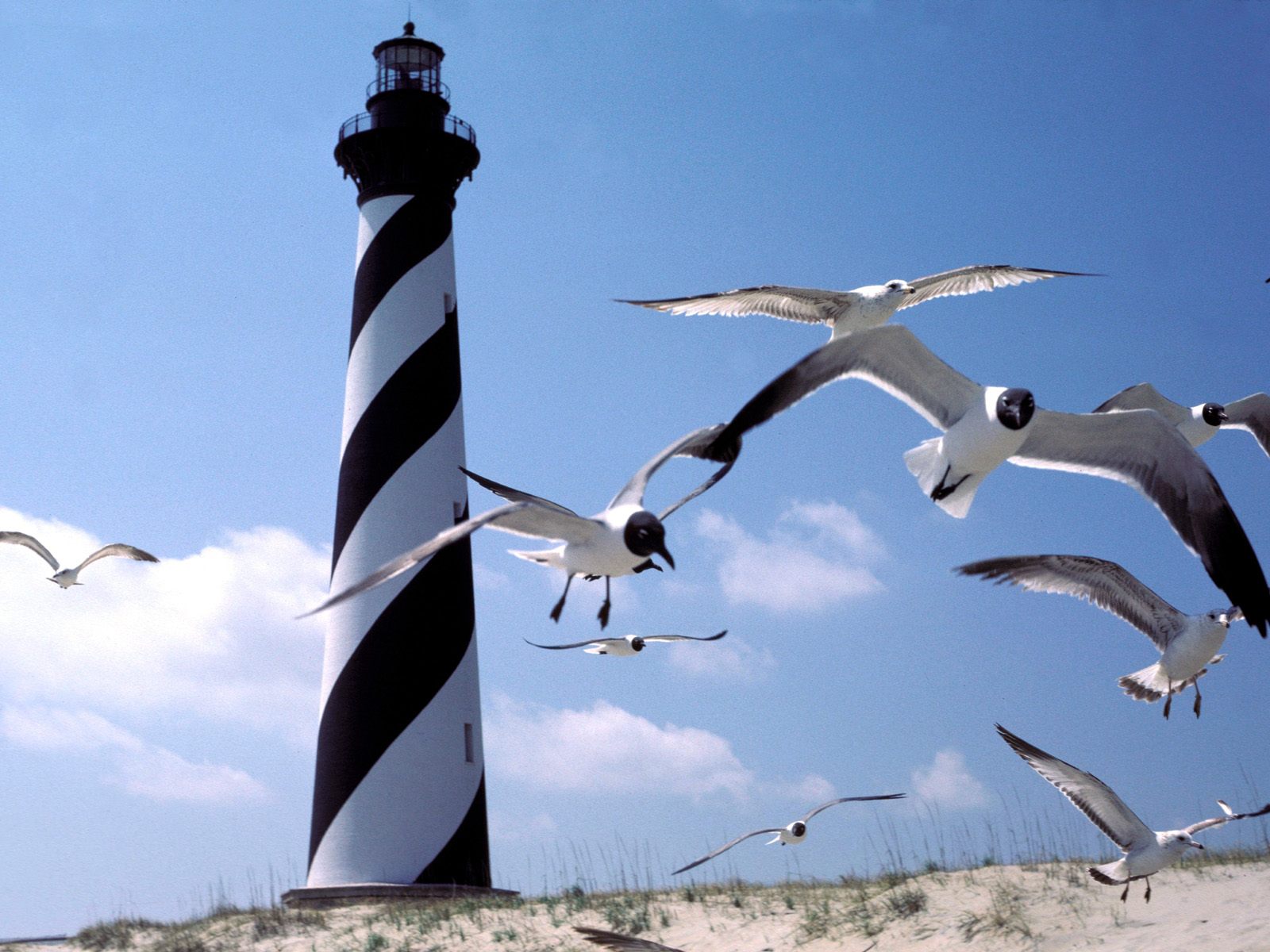 Cape Hatteras Lighthouse North Cape Hatteras Lighthouse North