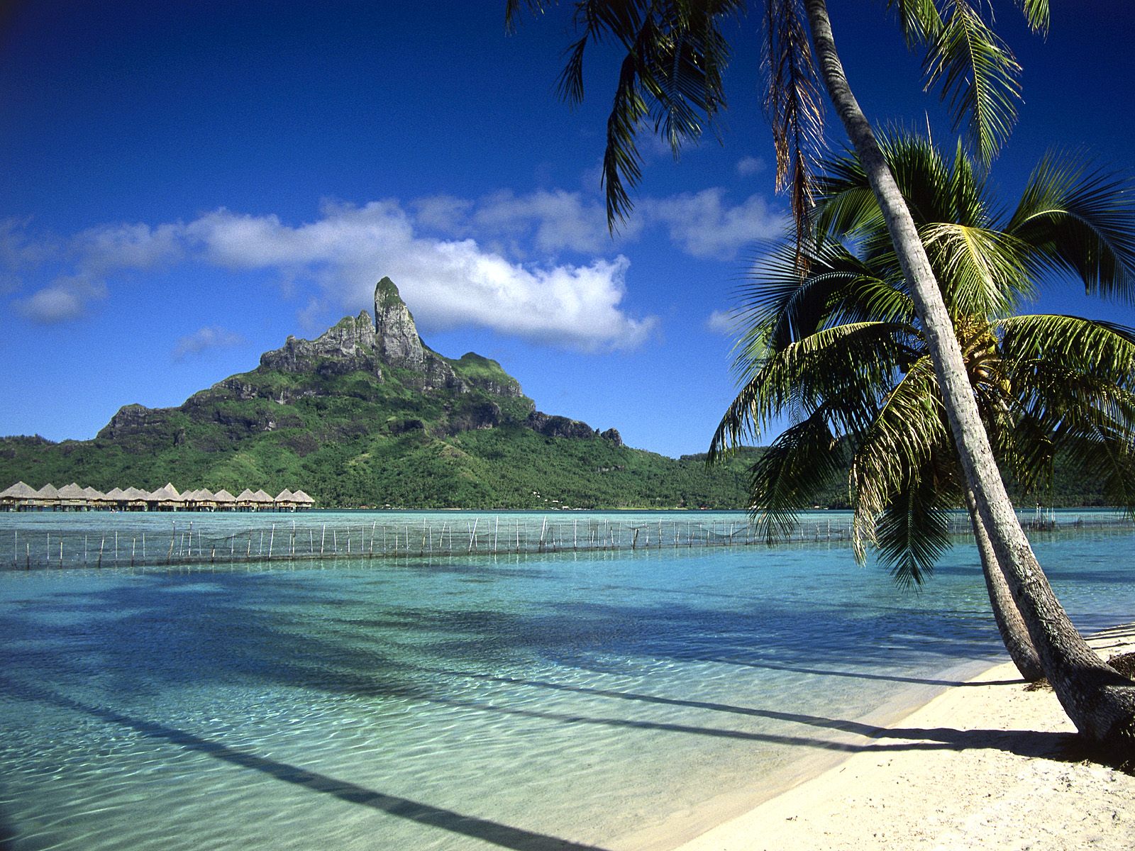 http://www.citypictures.net/data/media/236/Bora_Bora_Shoreline_French_Polynesia.jpg