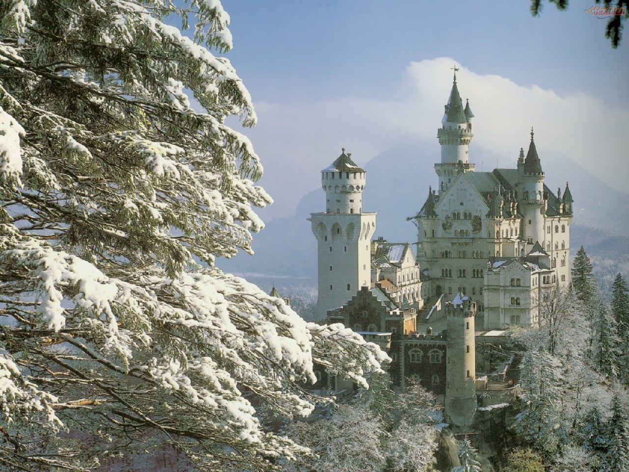 Neuschwanstein_Castle_Bavaria_Germany_-_forest_snow.jpg