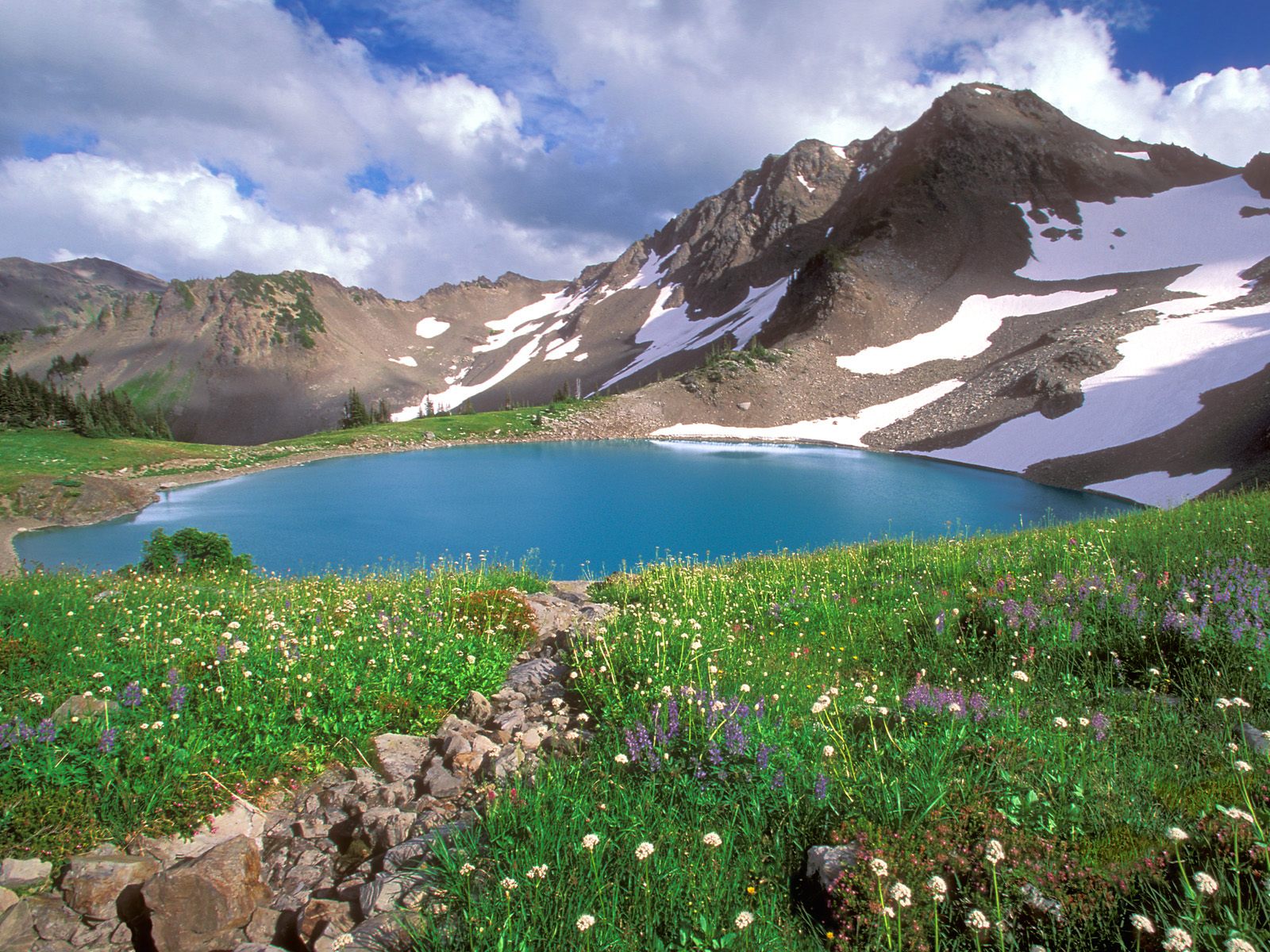 Alpine Tranquility Olympic National Park Washington