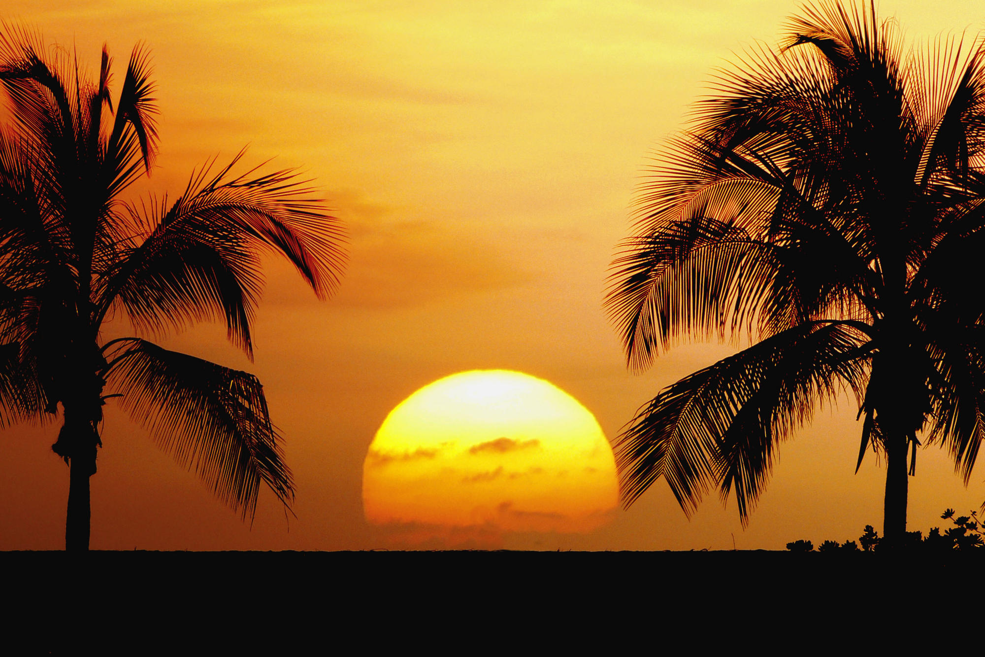 Beautiful Sunsets On The Beach With Palm Trees