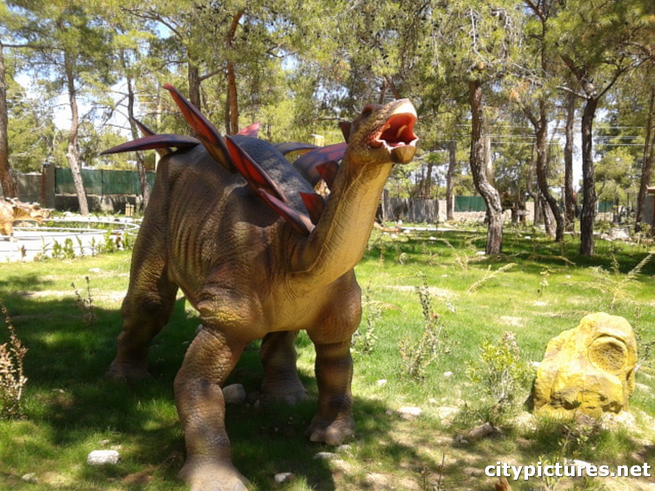 Dinosaur in goynuk