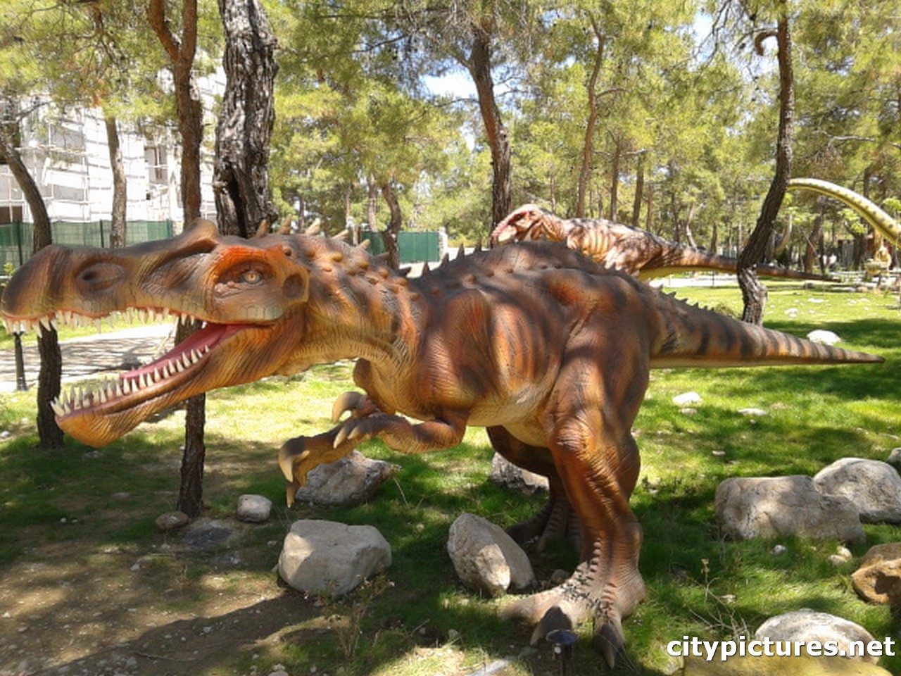 Dinosaurs in turkey-park