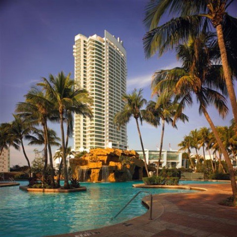   Miami)   Miami_palms.jpg