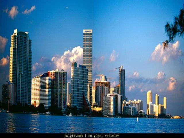   Miami)   Miami_wallpaper.jpg