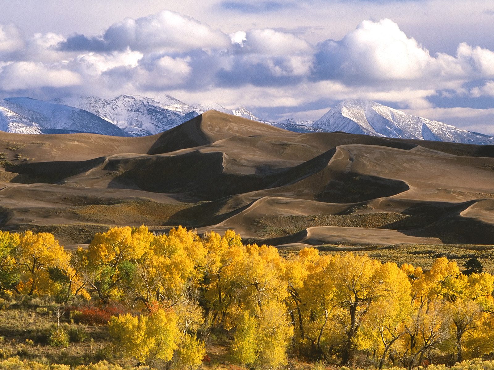 Dunes and Fall Color Colorado