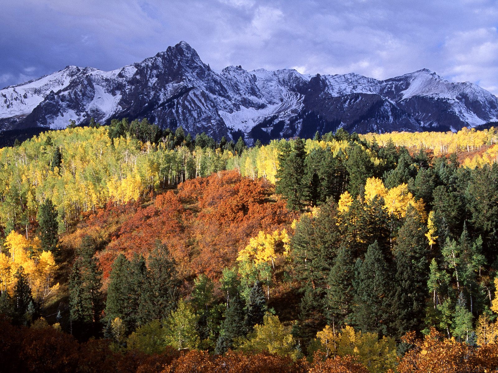 Sneffel's Range Colorado