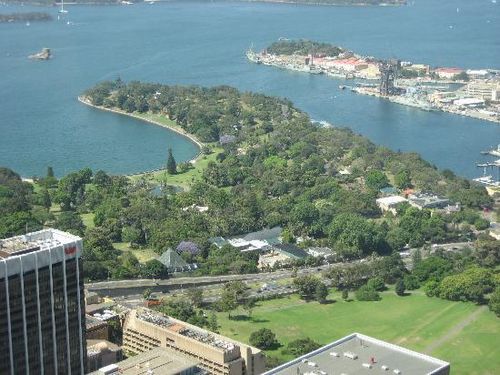 sydney panoroma