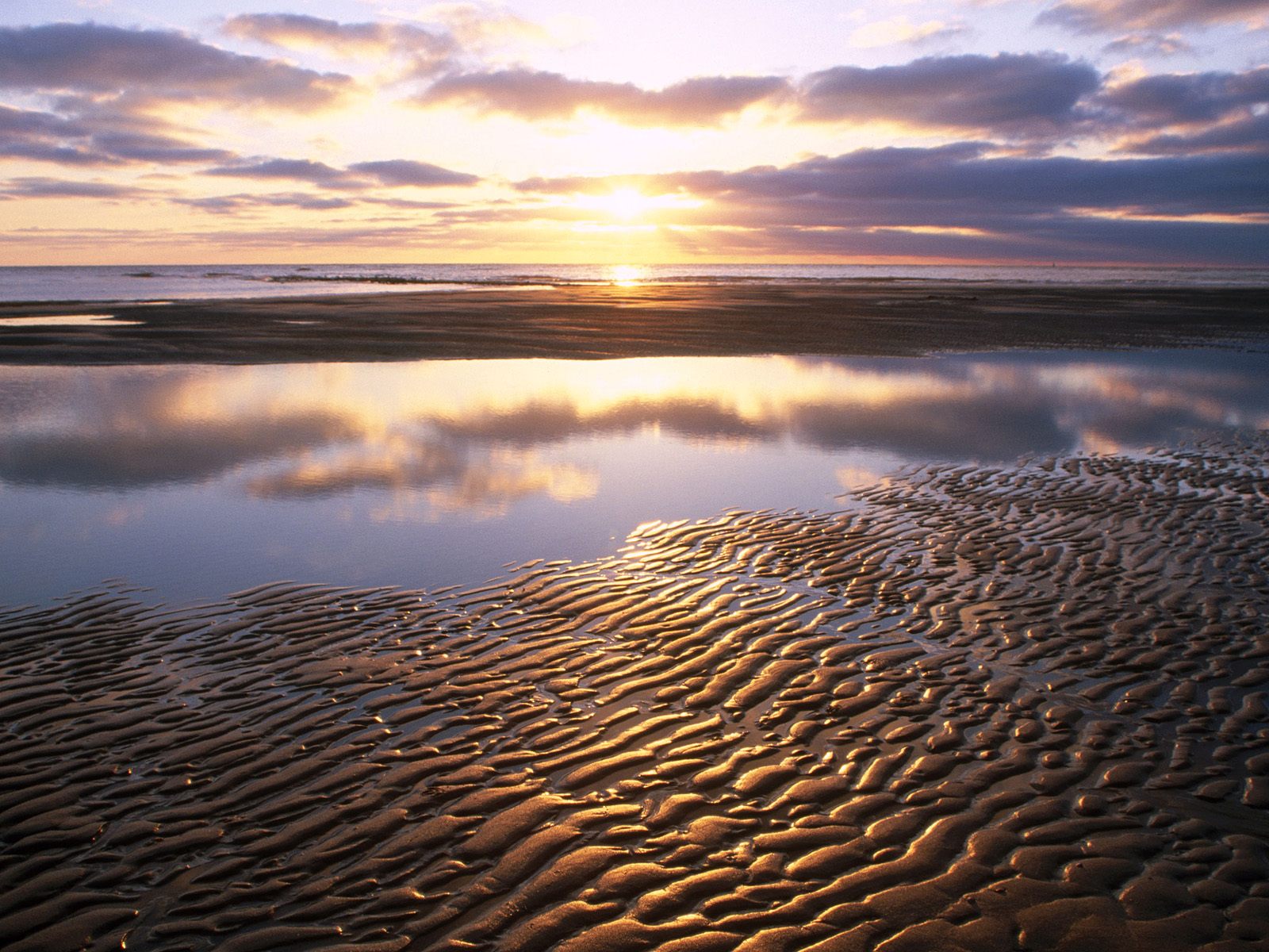 Texel The Netherlands