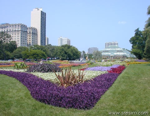 Chicago park