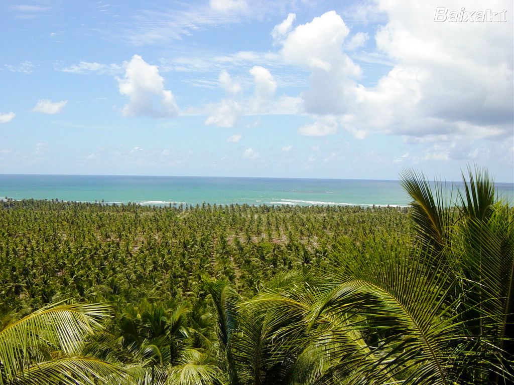 Praia do Gunga AL