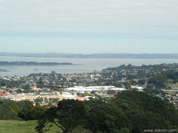 the university of auckland