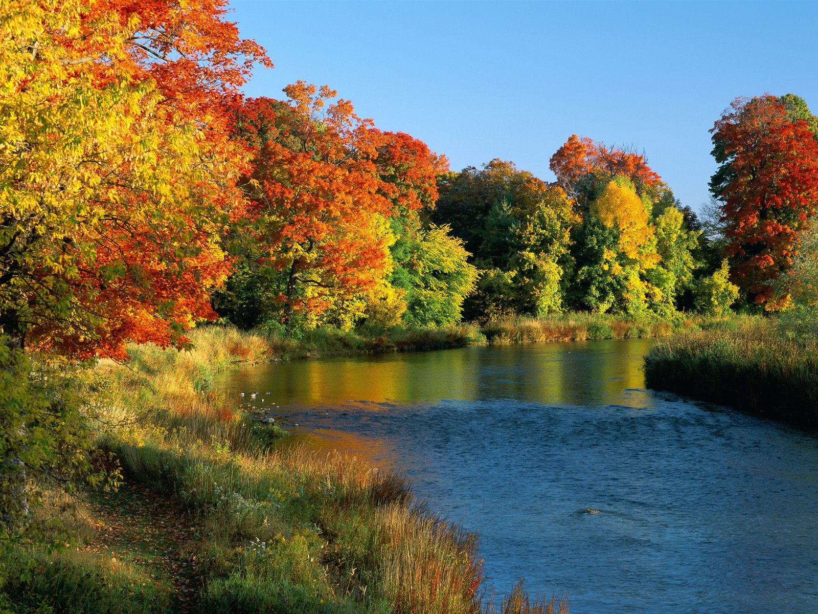 Credit River Ontario Canada