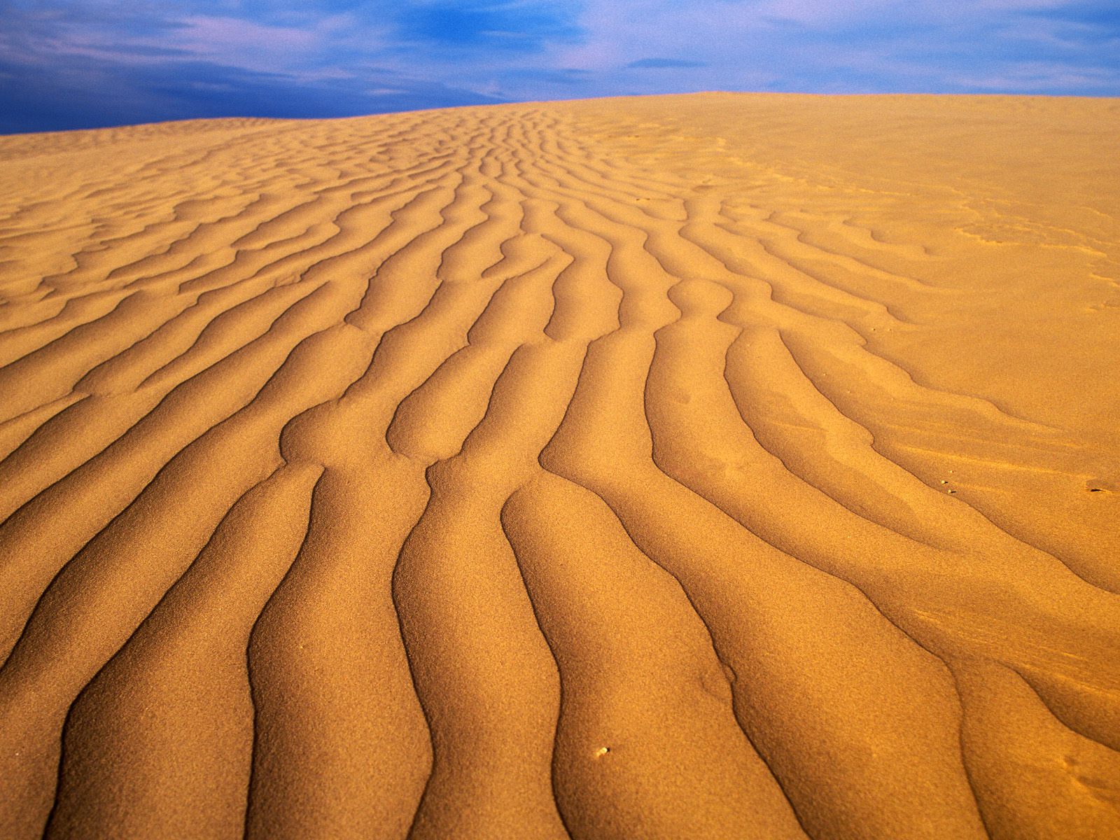 Great Sandhills Saskatchewan Canada