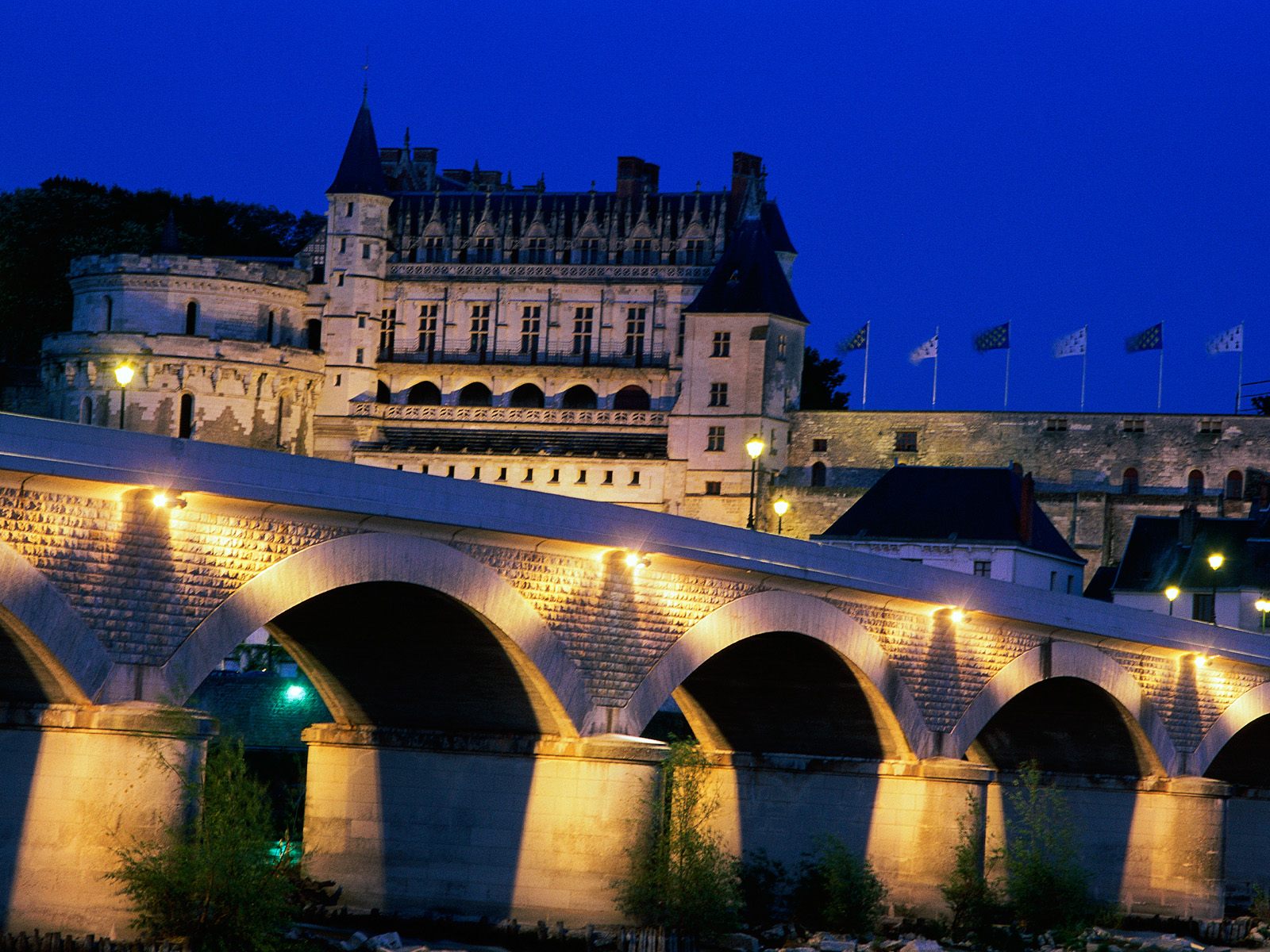 Chateau d' Amboise France