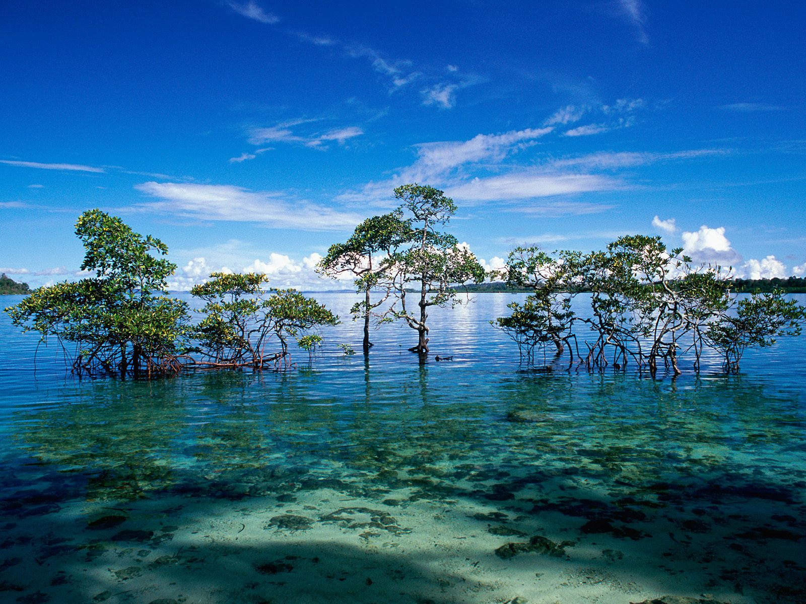 Havelock Island Andaman and Nicobar Islands India