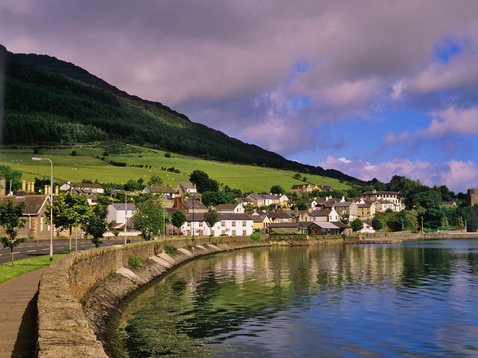 Carlingford Cooley Peninsula County Louth Ireland