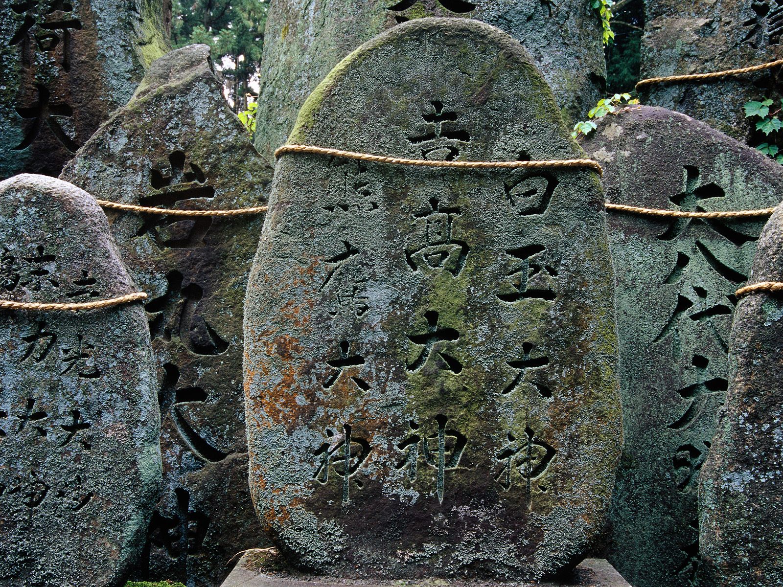 Fushimi-inari Taisha Shrine Kyoto Japan