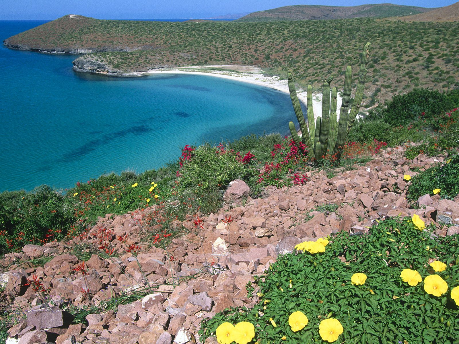 La Paz Region Baja California Mexico