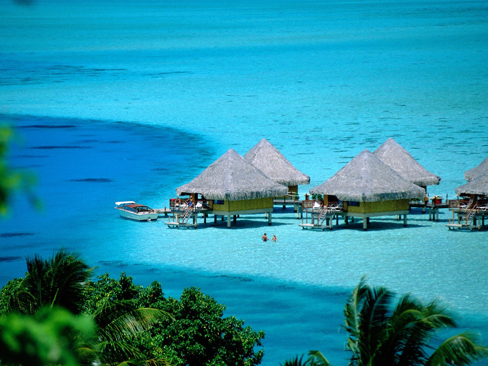 Backyard Pool Bora Bora French Polynesia