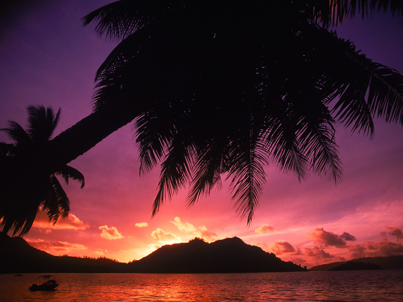 Tropical Beach at Sunset The Seychelles