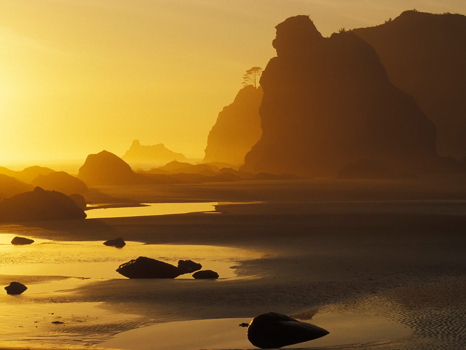 Shi Shi Beach Reflection Olympic National Park Washington