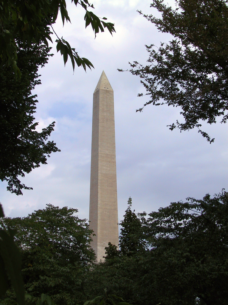 washington Monument through trees