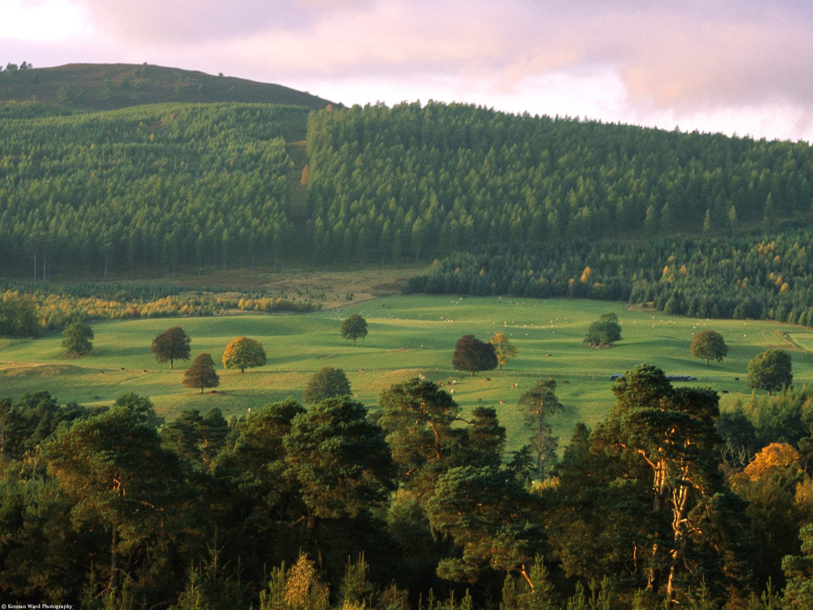 Valley Vista Scotland