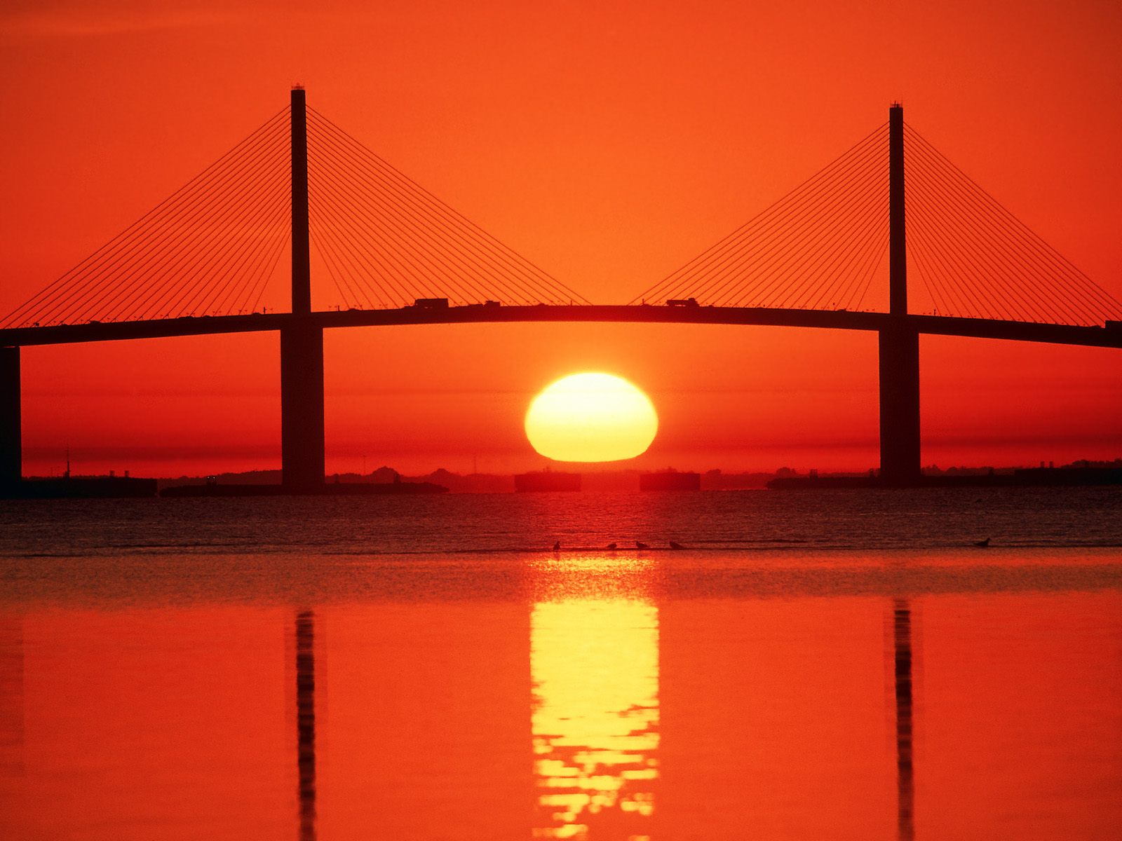 Sunshine Skyway Bridge Tampa Bay Florida