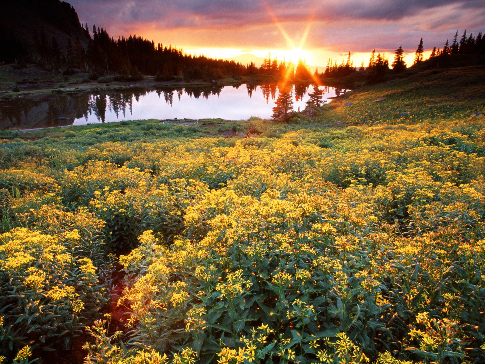 Gold King Basin San Juan Colorado