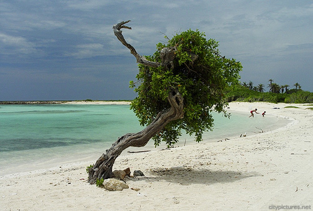 aruba ocean