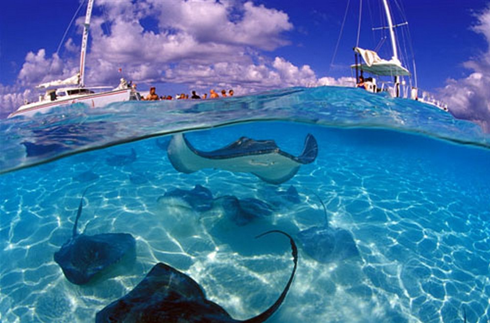 grand-cayman