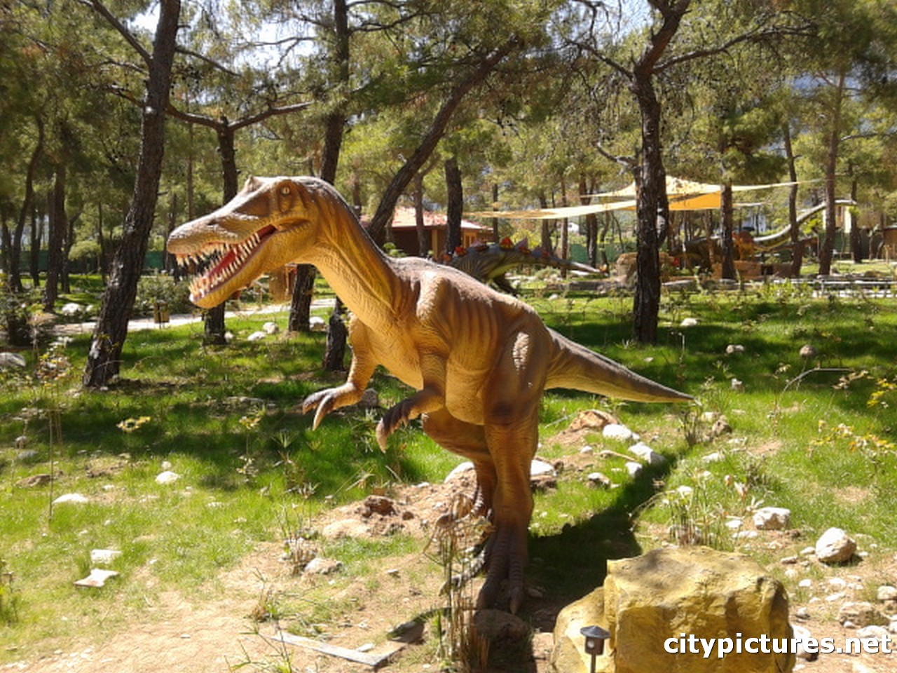 Dinosaurs in antalya turkey