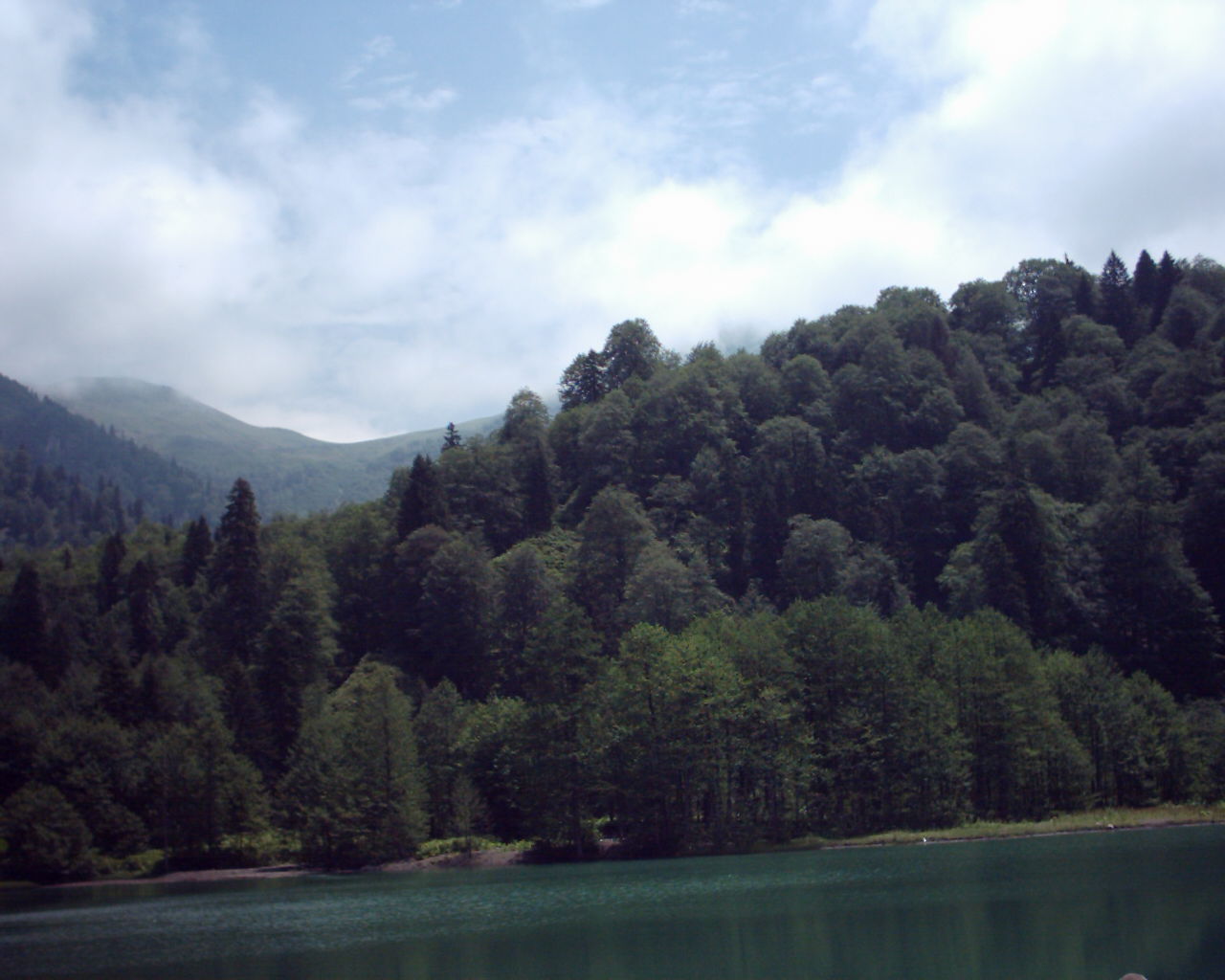 artvin dag bulut