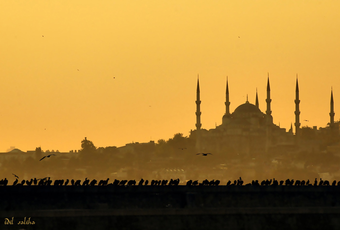 istanbul by kanikey