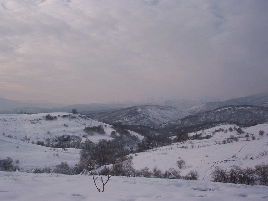 bursa ve kar