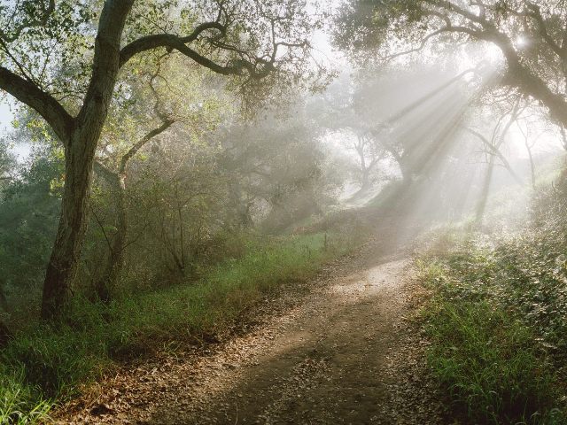 Douglas Family Preserve Santa Barbara California