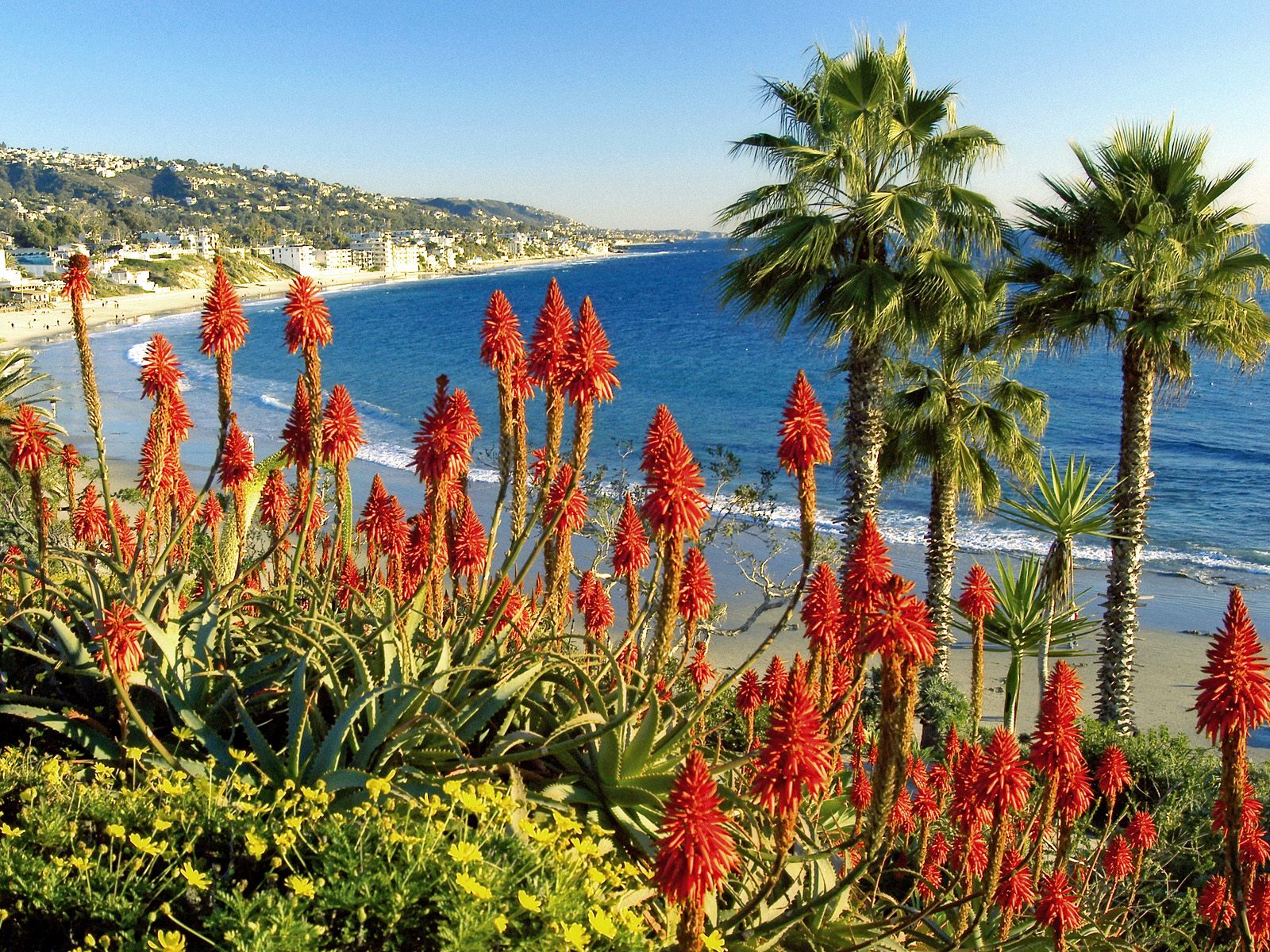 Laguna Beach California