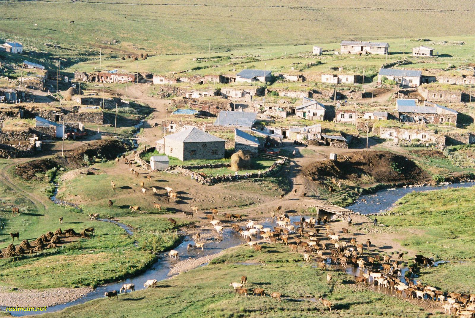 erzurum senkaya