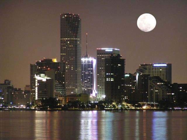 Miami moonlight