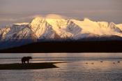 MOUNT KATOLINAT ALASKA