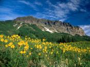 Crested Butte Colorado