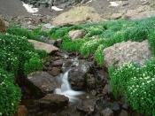 Sangre de Cristo Mountains Colorado