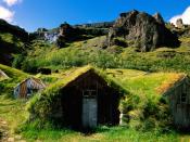 Green Rooftops