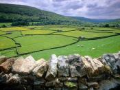 Muker Swaledale Valley Yorkshire United Kingdom