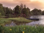 Gentle Dock County Donegal Ireland