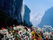 Staubbach Waterfall Lauterbrunnen Switzerland