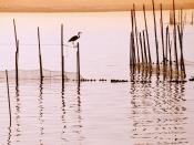 La Albufera National Park Spain