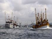 Going Fishing Port of Mazatlan Mexico